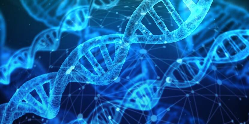 Afbeelding DNA helix