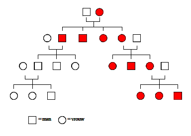 Overerving van Mitochondriaal DNA